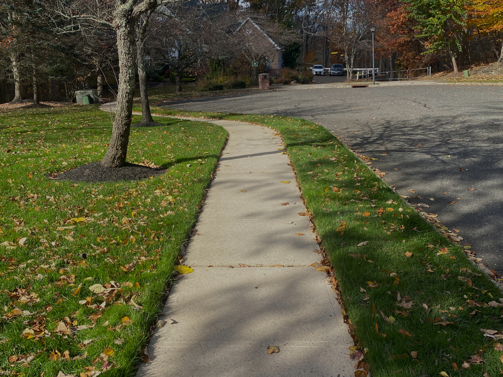 Driveway and paver cleaning