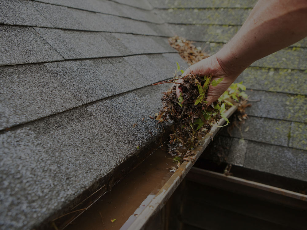 Gutter cleaning