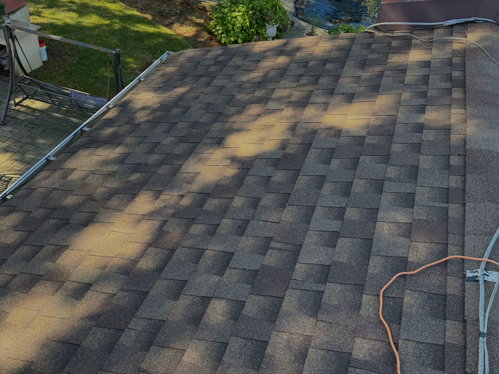 Roof cleaning