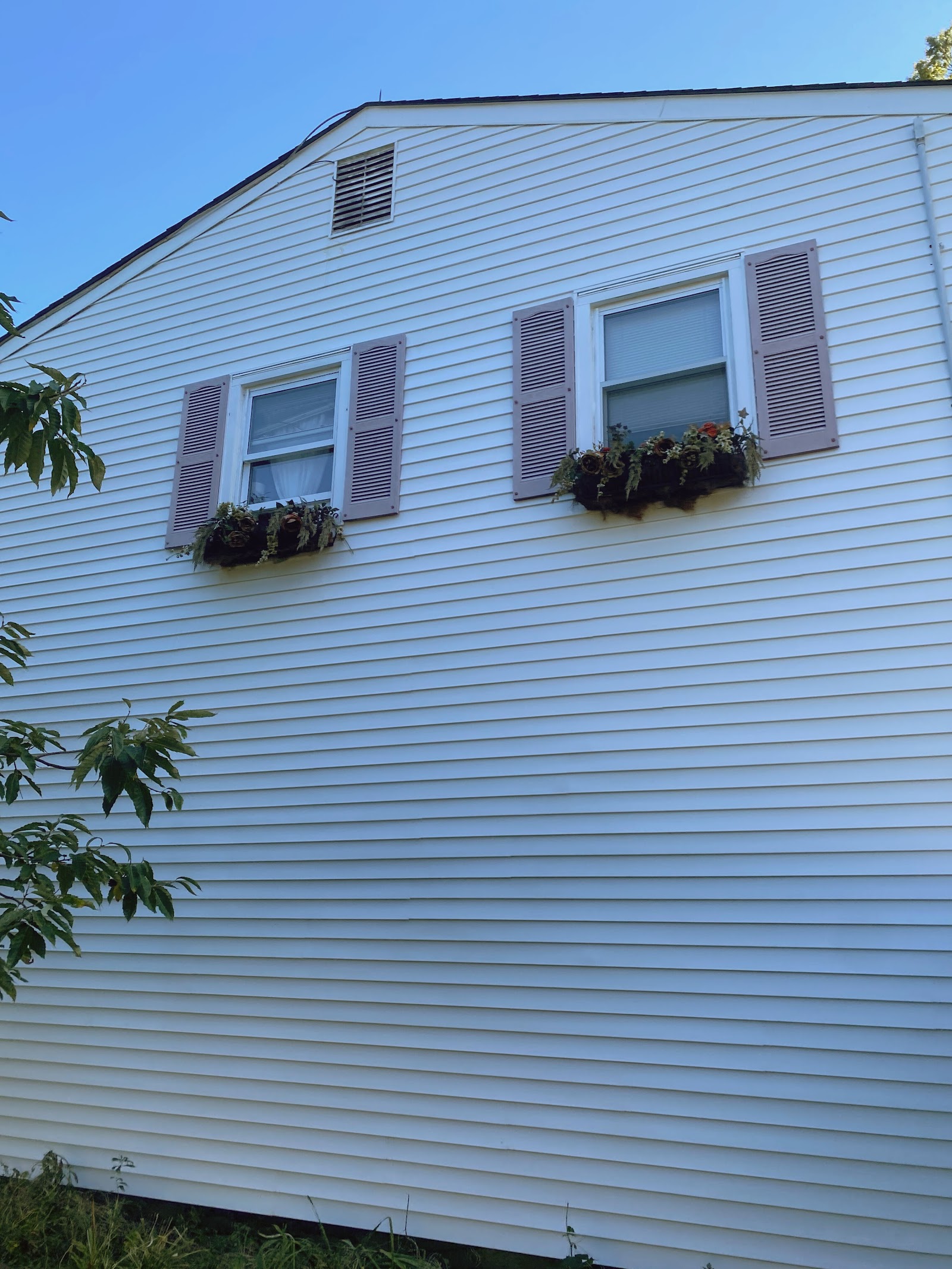 House washing — clean vinyl siding